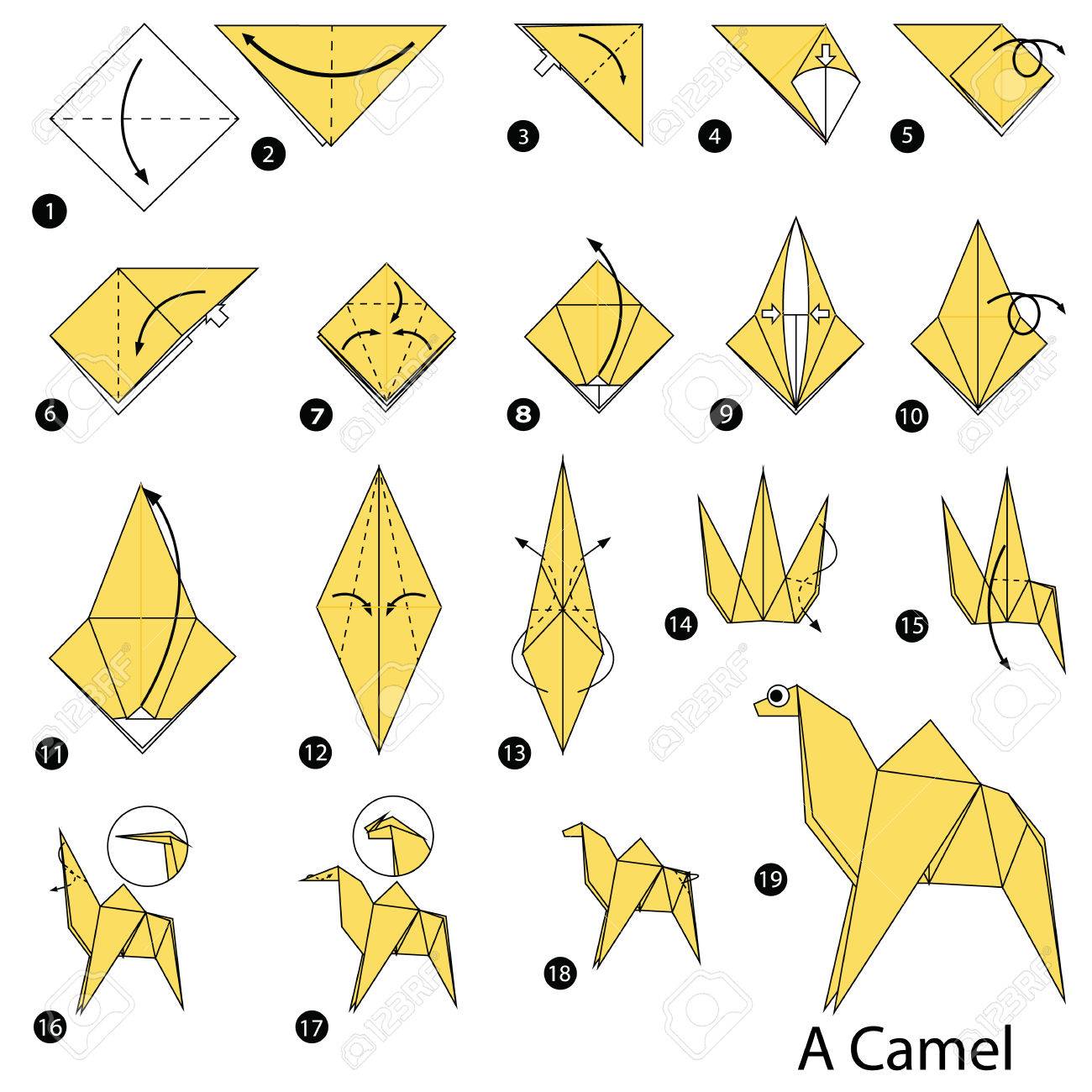 camel